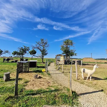 Roulotte Boheme Confort Au Sud De Nancy - Fr-1-584-364