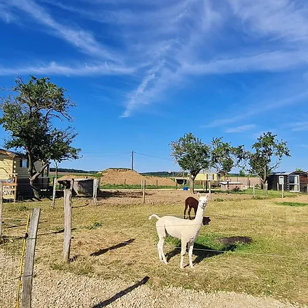 Roulotte Boheme Confort Au Sud De Nancy - Fr-1-584-364 Holiday home Burthecourt-aux-Chenes