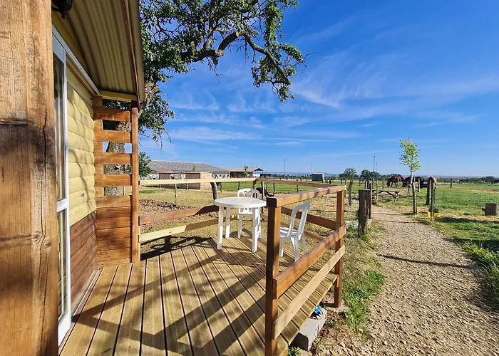 Roulotte Boheme Confort Au Sud De Nancy - Fr-1-584-364 Burthecourt-aux-Chenes