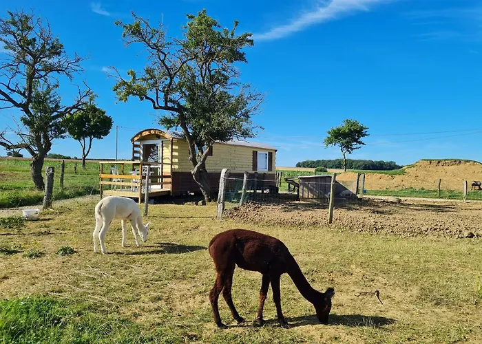 Roulotte Boheme Confort Au Sud De Nancy - Fr-1-584-364 Burthecourt-aux-Chenes