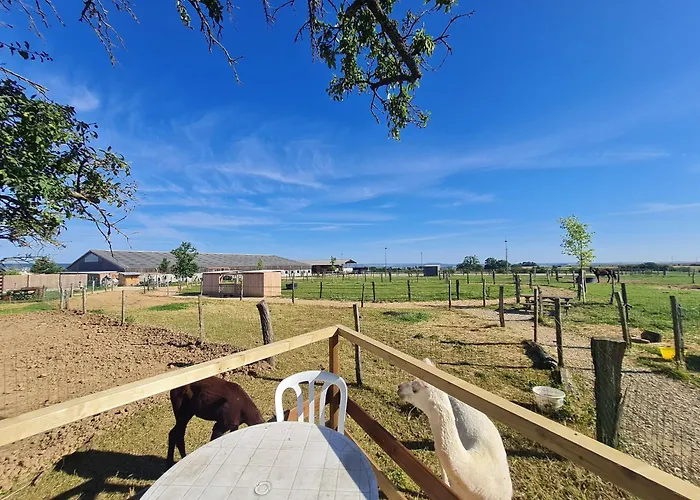 Roulotte Boheme Confort Au Sud De Nancy - Fr-1-584-364 Prázdninový dům