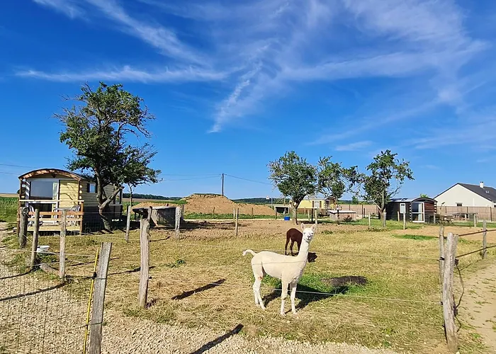 Roulotte Boheme Confort Au Sud De Nancy - Fr-1-584-364 Prázdninový dům Burthecourt-aux-Chenes